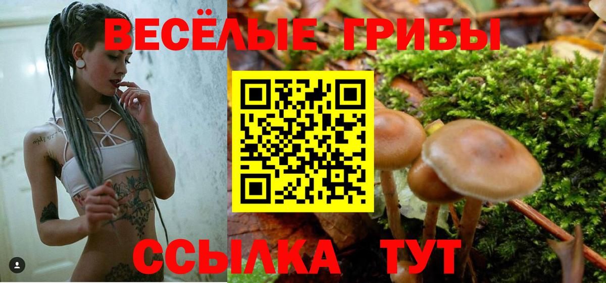 Черногорск  Галлюциногенные грибы ЛСД  Псилоцибиновые грибы ЛСД  Вход с VPN 