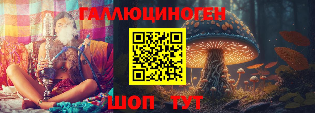 Псилоцибиновые грибы Cubensis Черногорск